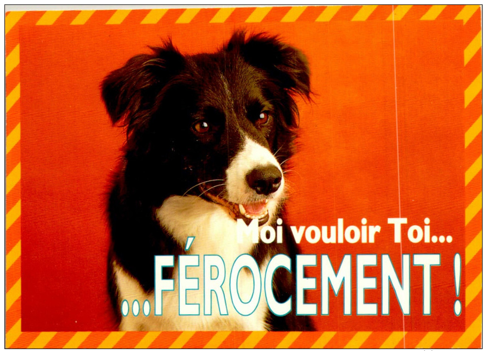 CHIEN / 10 CARTES POSTALES  / LOT  1395 / 35