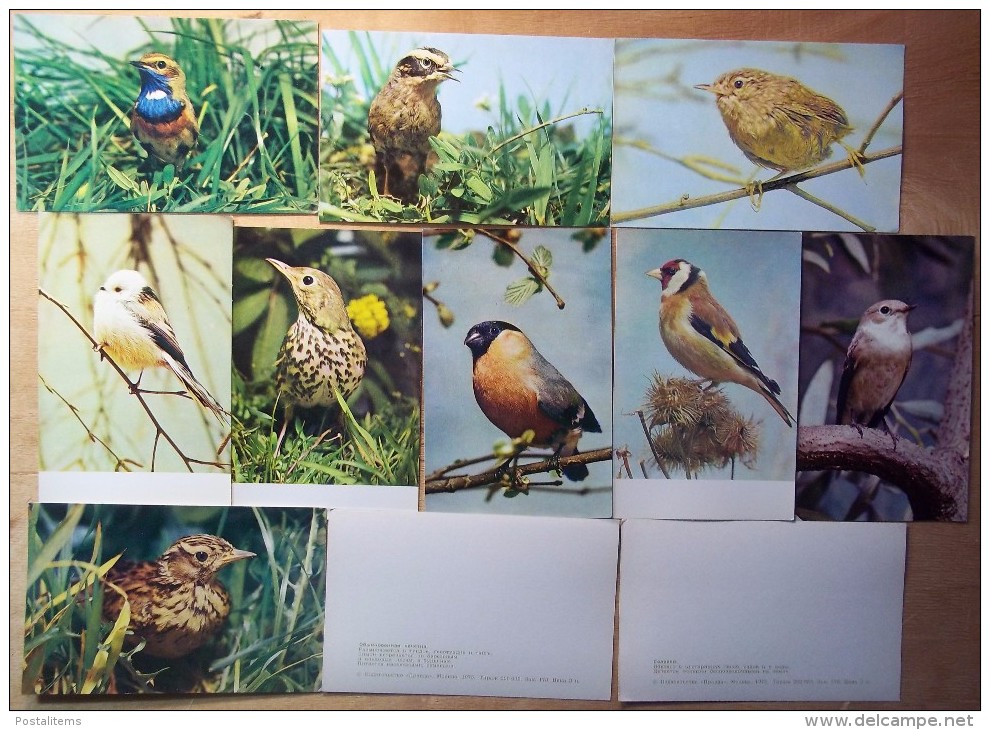 Birds. Set Of 18 Postcards 1975 - Birds