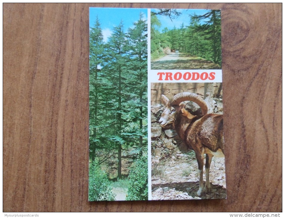 50225 POSTCARD: CYPRUS: TROODOS: Cedar Trees In Cedar Valley / Mouflon (Agrinon) / Cedar Valley. - Cyprus