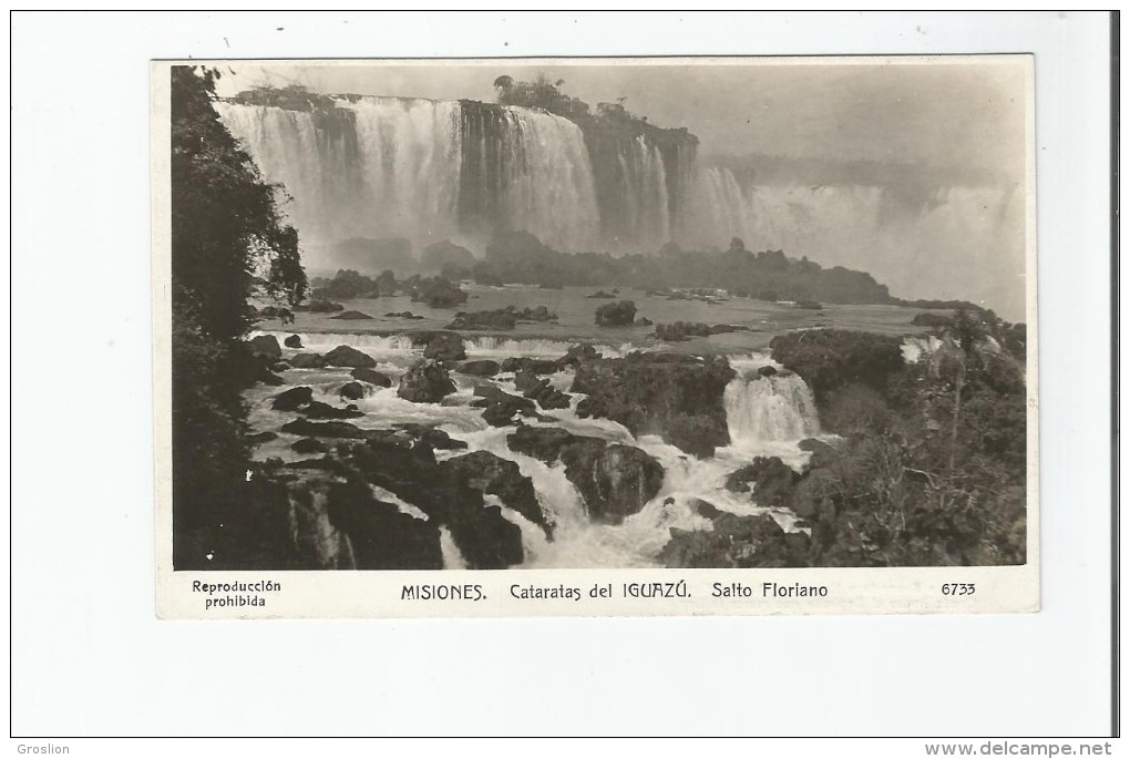 MISIONES CATARATAS DEL IGUAZU SALTO FLORIANO 6733 - Argentine