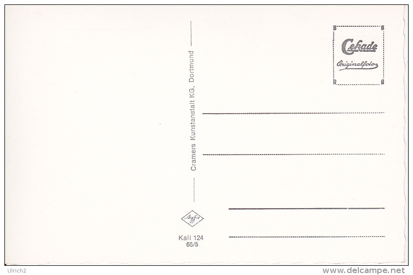 AK Gruss Aus Solingen - Blumen - Gedicht - 1901 (20461) - Saluti Da.../ Gruss Aus...