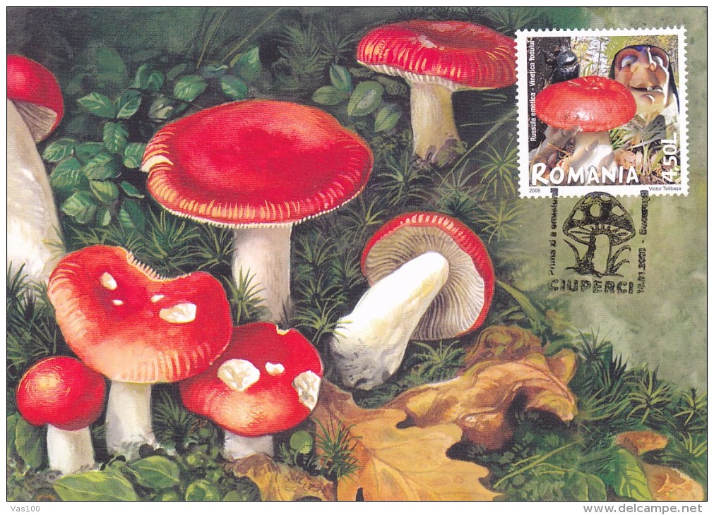 MUSHROOMS,CAMPIGNONS,PILZE, 2008 CM MAXICARD,CARTES MAXIMUM ,OBLITERATION FDC,ROMANIA. - Funghi