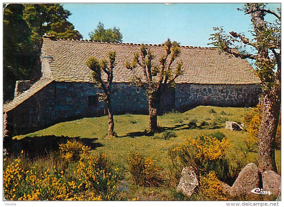 Réf : T 15 - 3850  : FERME DANS L AUBRAC - Aumont Aubrac