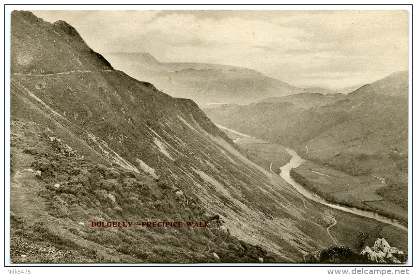 DOLGELLY : PRECIPICE WALK - Merionethshire