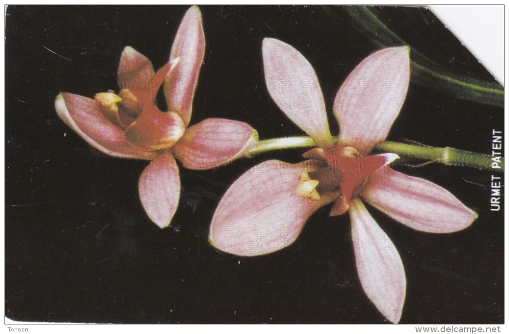 Sierra Leone, SRL-17, Orchid 3, 2 Scans. - Sierra Leona