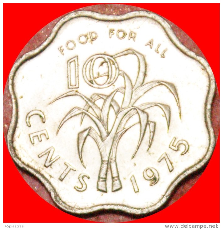 · FAO: SWAZILAND ★ 10 CENTS 1975! LOW START ★ NO RESERVE! Sobhuza II (1968-1982). - Swaziland