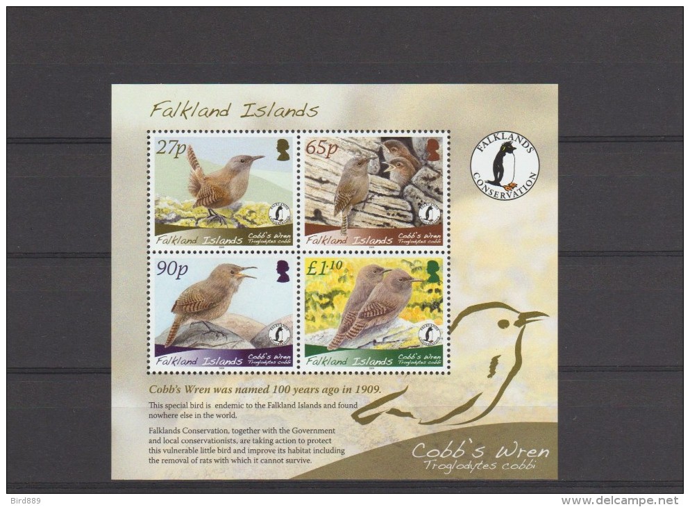 2009 Falkland Islands Bird WWF Cobb´s Wren Full Sheet MNH - Falklandinseln