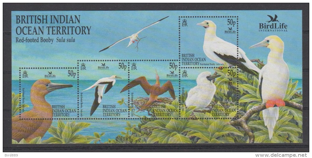 2002 BIOT Bird Life International Red Footed Booby Mini Sheet Of 5 MNH - Territoire Britannique De L'Océan Indien