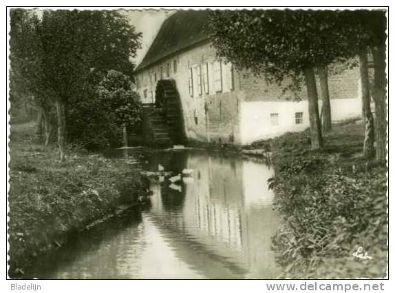GRIMBERGEN (Vlaams-Brabant) - Molen/moulin - De Liermolen In Prachtig Landschappelijk Kader - Grimbergen