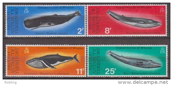 Antarctic. British Territory.1977. Whales.Michel.64-67. MNH 22081 - Sonstige & Ohne Zuordnung