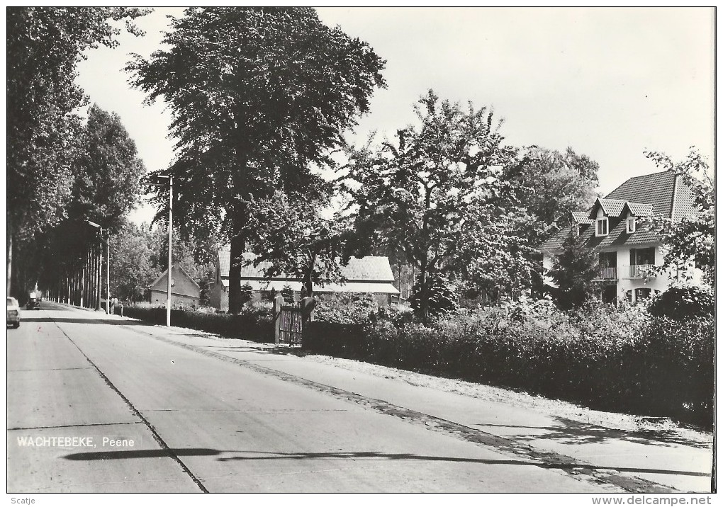 Wachtebeeke,   Peene  -   1966  FOTOKAART! - Wachtebeke