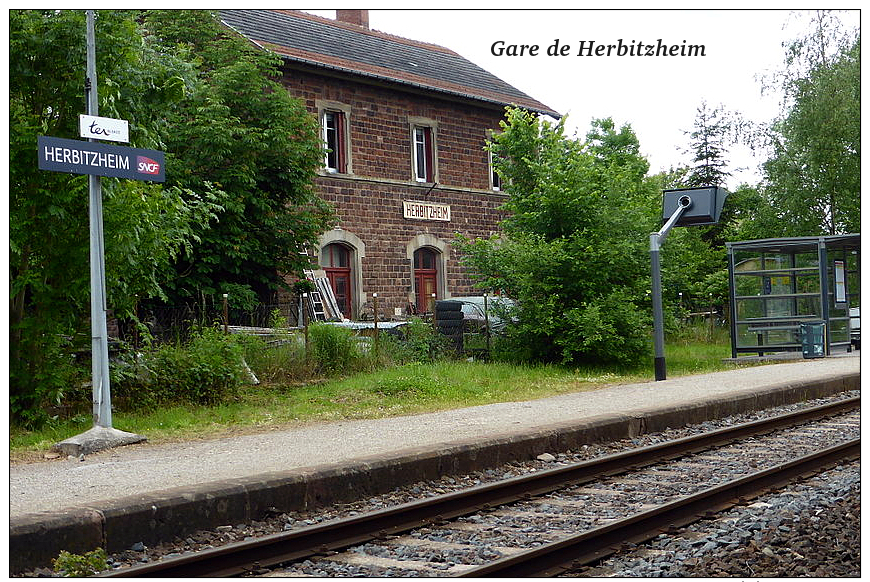 Gare De Herbitzheim , Département Du Bas-Rhin - Une Photo Reproduit Carte Postale  10x15 Cm. - Gares - Sans Trains