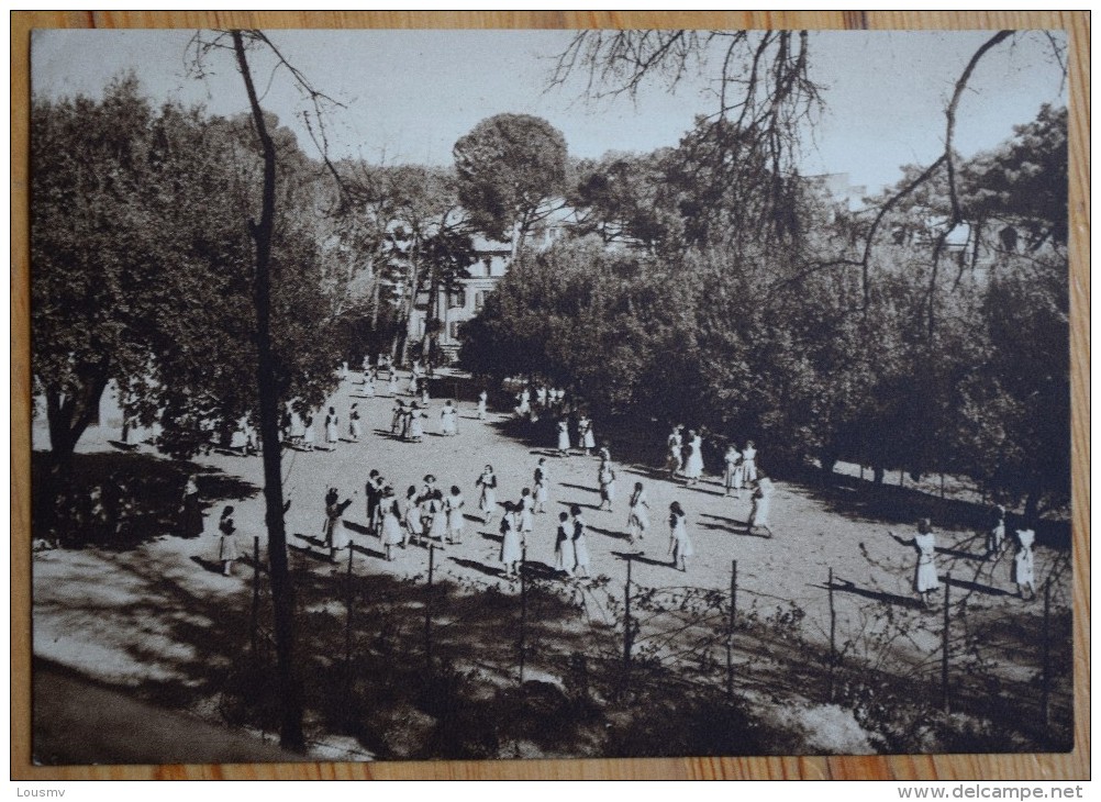 Roma - Istituto Pio XII Delle Religiose Dell'Assunzione - Via Romania - Campo Di Giuoco - (n°5007) - Enseignement, Ecoles Et Universités