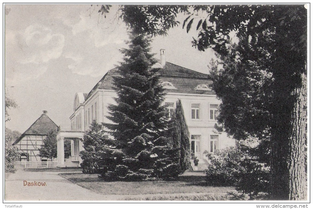 Herrenhaus DASKOW Ahrenshagen Ribnitz Storch Gutshaus Autograf Adel Elly Von Arnim ( Von Plessen ) 1910 - Ribnitz-Damgarten