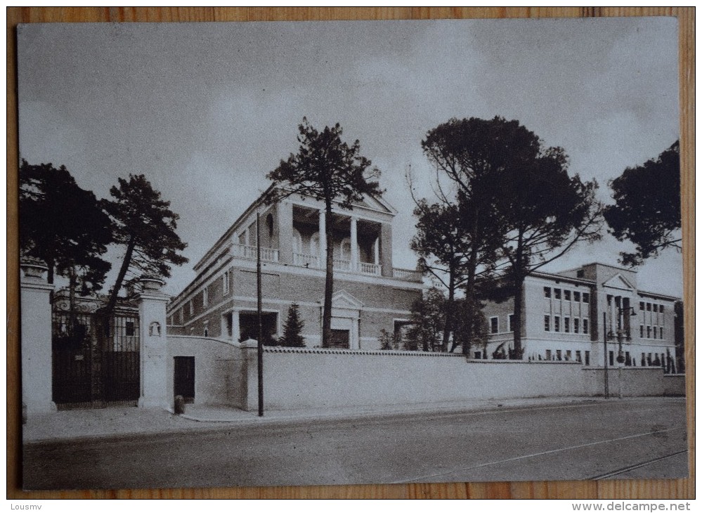 Roma - Istituto Pio XII Delle Religiose Dell'Assunzione - Istuto Visto Da Viale Romania - (n°5022) - Enseignement, Ecoles Et Universités