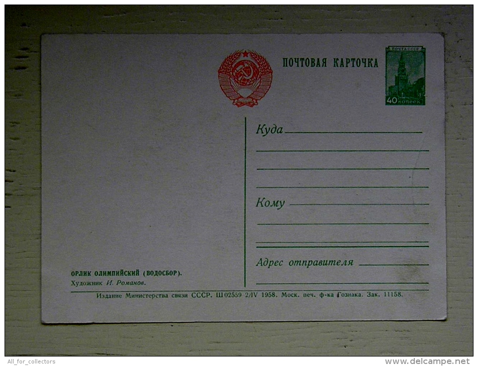 Postal Stationery Card From Ussr 1958 Russia Flora Flowers - 1950-59