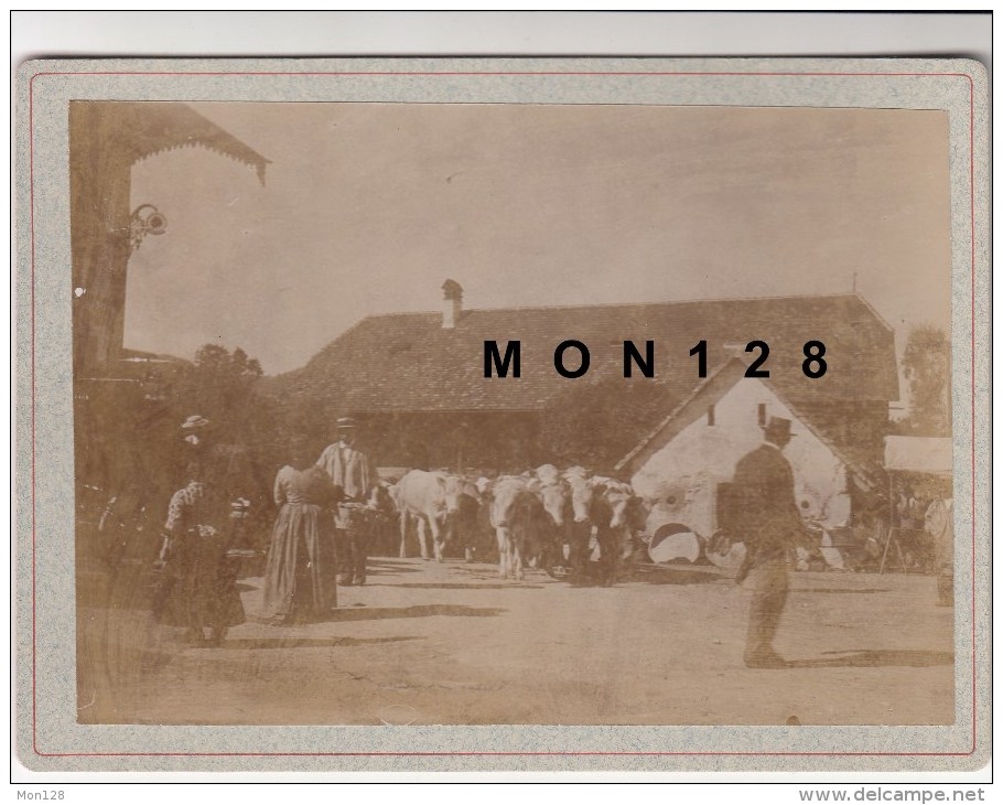 SUISSE (VAUD)  GLION ? -PHOTO DE 1894-MARCHE ? - TIRAGE ALBUMINE COLLE SUR CARTON 18X13 CMS - Old (before 1900)