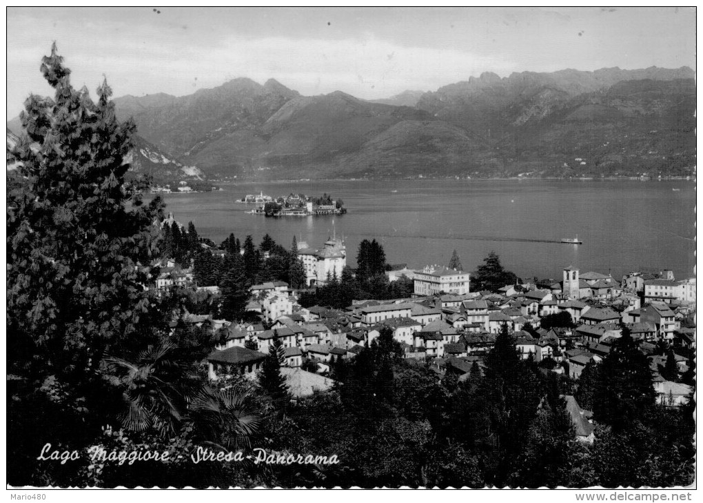 LAGO  MAGGIORE   STRESA  PANORAMA    (VIAGGIATA) - Altri & Non Classificati