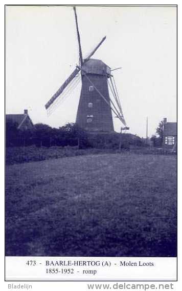 BAARLE-HERTOG (Antw.) - Molen/moulin - Blauwe Prentkaart Ons Molenheem Van De Gewezen Molen Loots (nu Nog Romp) - Baarle-Hertog