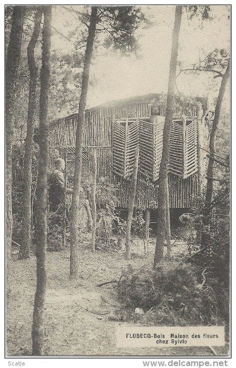 Flobecq-Bois   Maison Des Fleurs Chez Sylvie;  Mooi Poststuk  1914  -   Audenaerde   -   Gand - Vloesberg