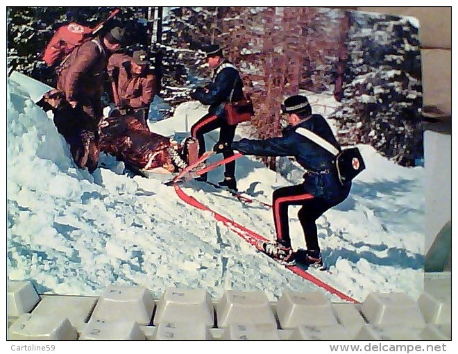 CARABINIERI CINOFILI CANE DOG SALVA SCIATORI CARABINIERI SU SCI SOCCORSO ALPINO N1975  FC6978 - Polizia – Gendarmeria