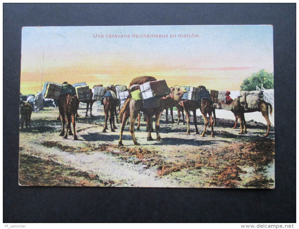 AK 1912Kolonie Frankreich Indochina. Une Caravane De Chemeaux En Marche. Kamele - Brieven En Documenten