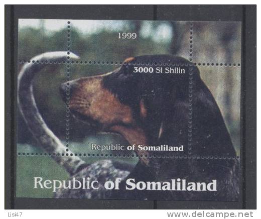 CHIEN DE CHASSE Somaliland 1 Bloc De Vignettes DOG HUND - Honden