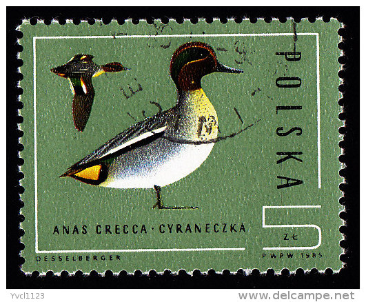 POLAND - Scott #2698 Anas Crecca (*) / Used Stamp - Ducks