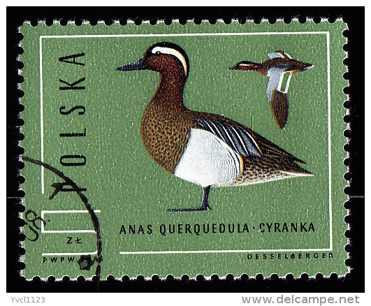 POLAND - Scott #2699 Anas Querquedula / Used Stamp - Ducks