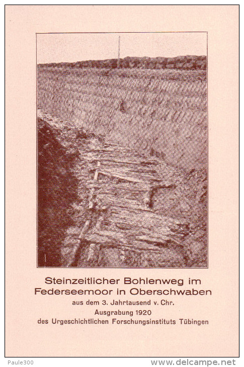 Bad Buchau - Steinzeitlicher Bohlenweg - Federseemoor Oberschwaben - Ausgrabung 1920 - Bad Buchau