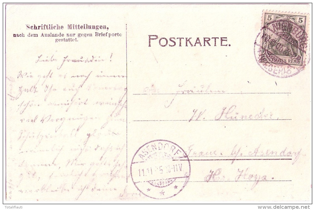 NIENBURG An Der Weser Wihelmstrasse Belebt Chocoladen & Biscuits Filiale Drogerie 10.11.1905 Gelaufen - Nienburg