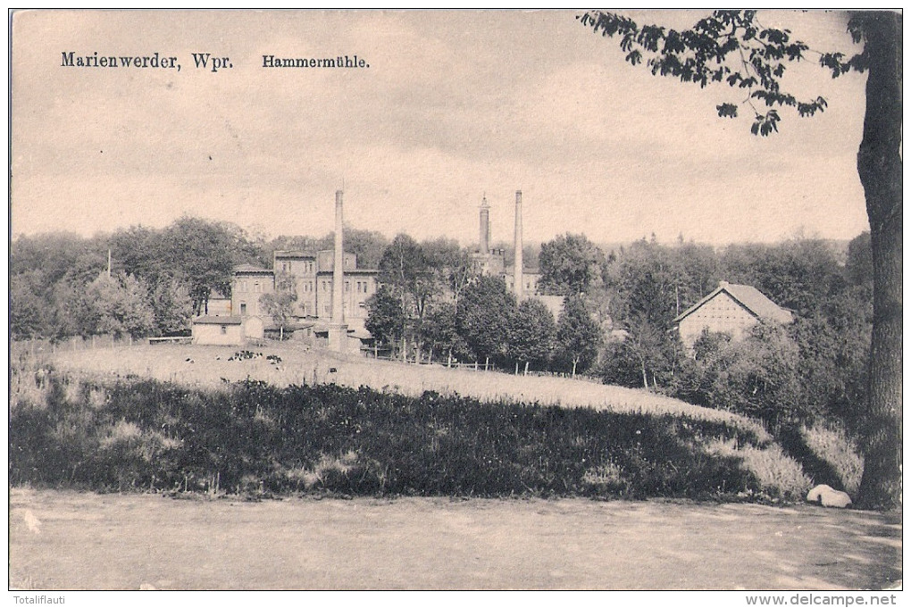 MARIENWERDER Kwidzin Hammer Mühle 18.11.1916 Als Feldpost Gelaufen - Westpreussen