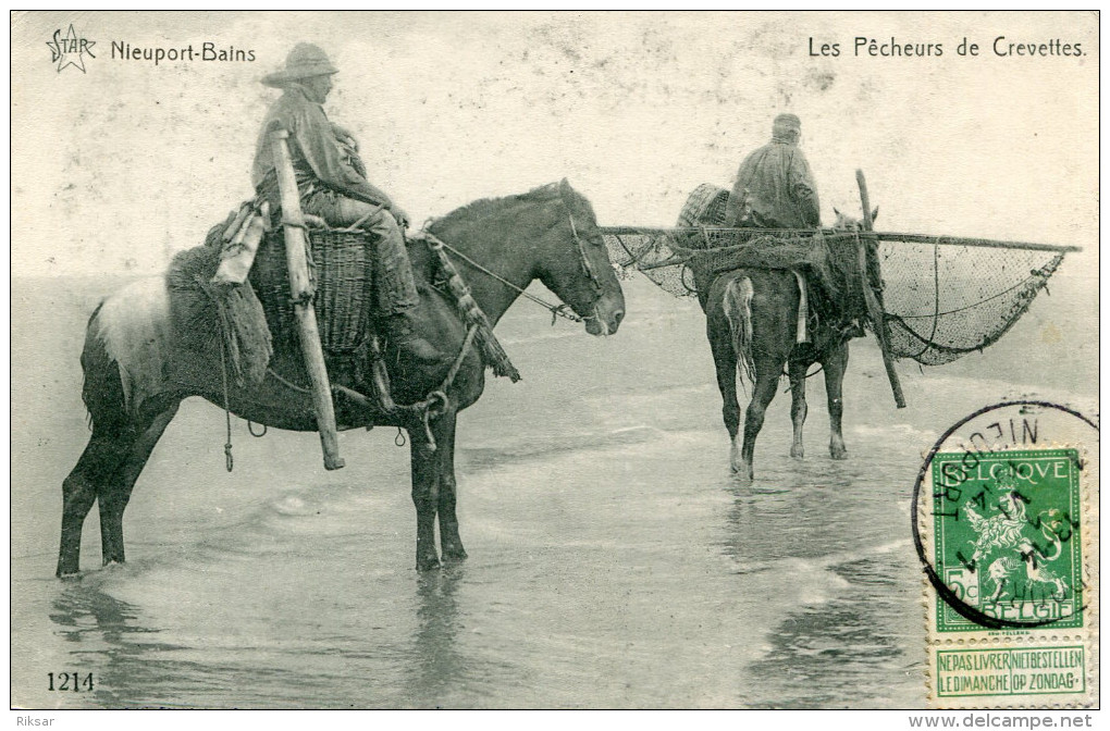 BELGIQUE(NIEUPORT BAINS) TYPE - Nieuwpoort