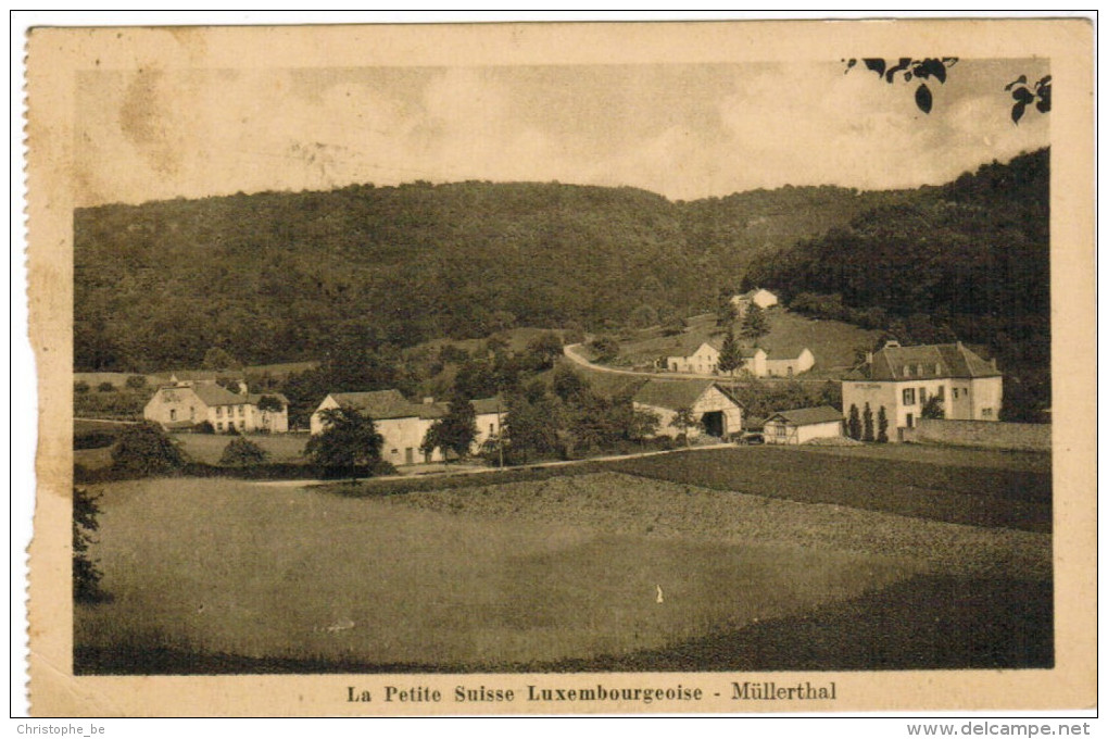 CPA Petite Suisse Luxembourgeoise, Müllerthal (pk27375) - Muellerthal