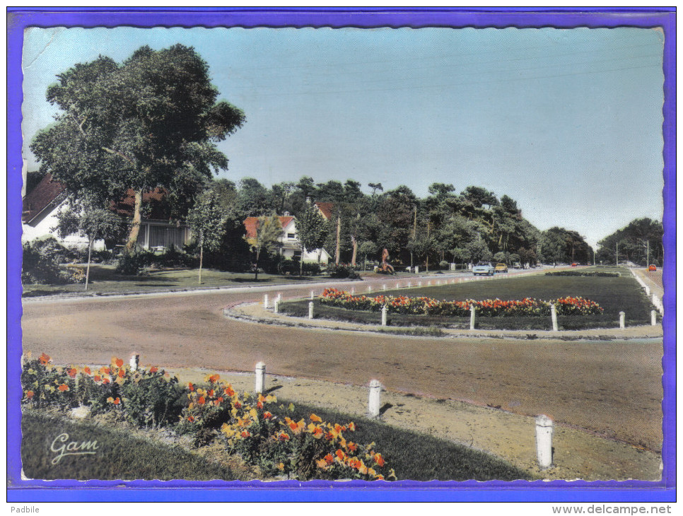 Carte Postale 62. Stella-Plage Les Pelouses Bd Labrasse   Trés Beau Plan - Autres & Non Classés