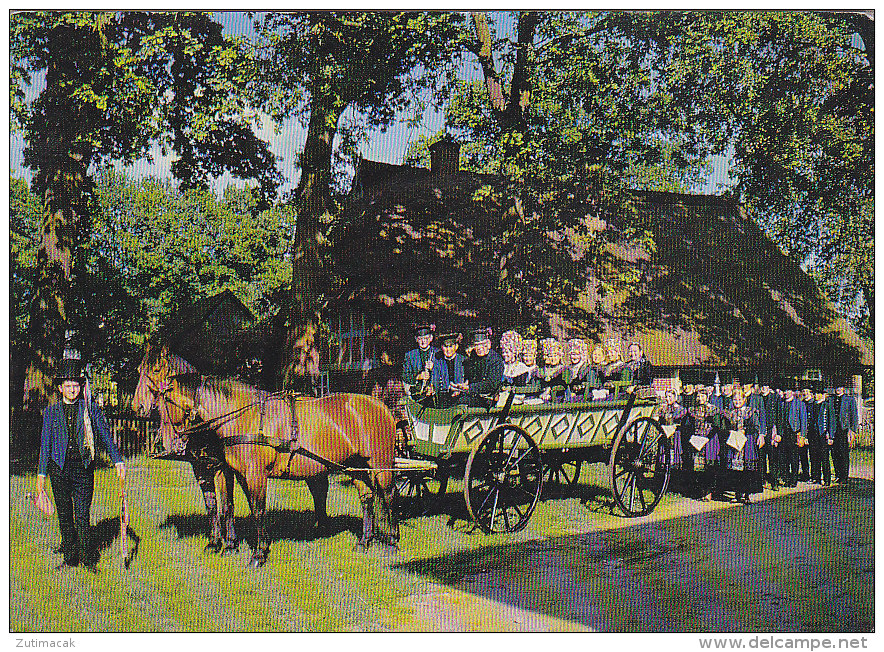 Scheessel - Brautwagen Mit Hochzeitszug - Volkstracht - Rotenburg (Wuemme)