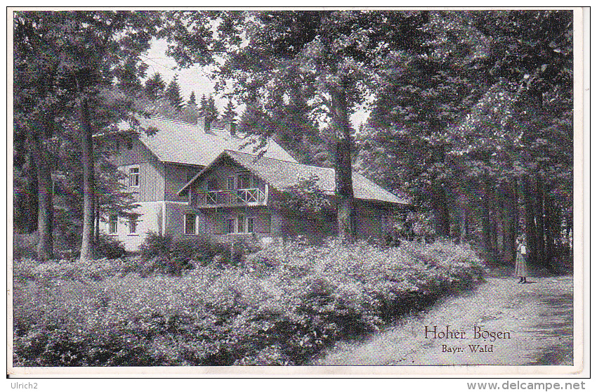 AK Hoher Bogen - Bayr. Wald -  (20555) - Cham