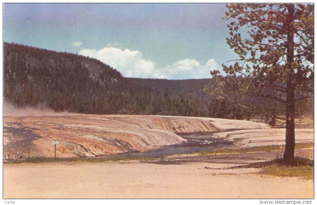 YELLOWSTONE NATIONAL PARK - Iron Creek - Yellowstone