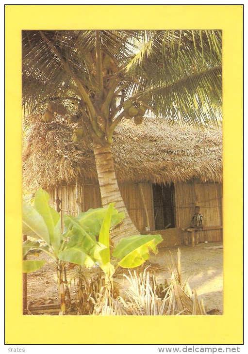 Postcard - Nigeria      (V 27279) - Nigeria