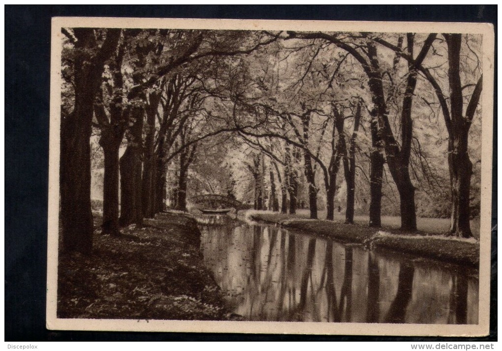 N1573 Paesaggio Non Identificato - Cartolina Antica Ediz. SACAT TORINO - Trees