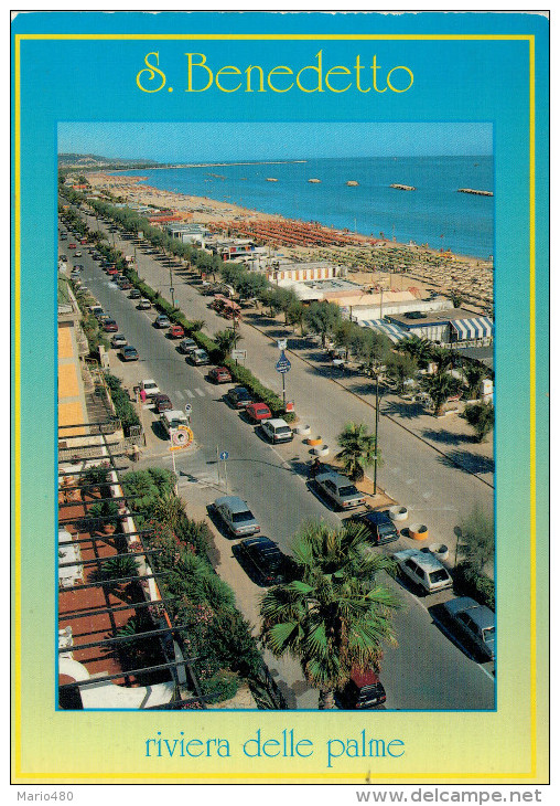 SAN  BENEDETTO  DEL  TRONTO (AP)  RIVIERA  DELLE  PALME  MAXI-CARD   (NUOVA) - Sonstige & Ohne Zuordnung