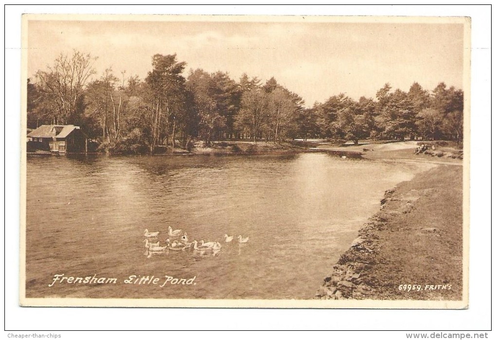 Frensham Little Pond - Surrey