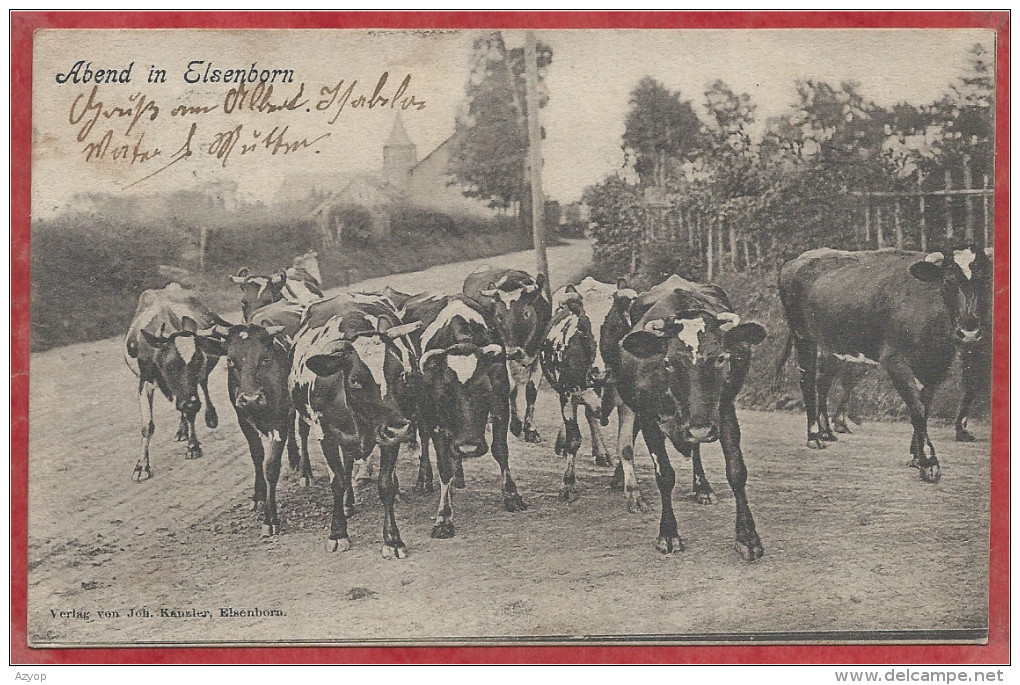 Belgique - Abend In ELSENBORN - Vaches - Verlag Joh. Kanzler - Elsenborn (camp)