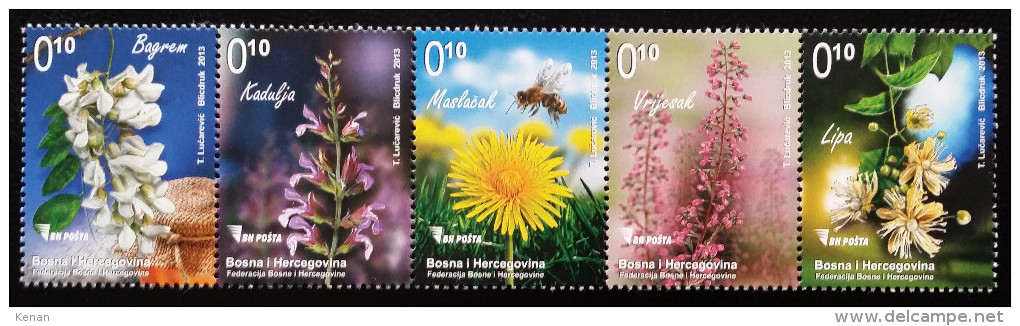 Bosnia And Hercegovina, 2013, Mi: 627/31 (MNH) - Medicinal Plants