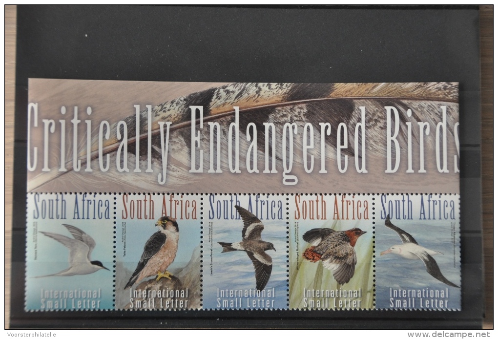 M 371 ++ SOUTH AFRICA 2014 BIRDS OISEAUX VOGELS MNH ** - Bermuda