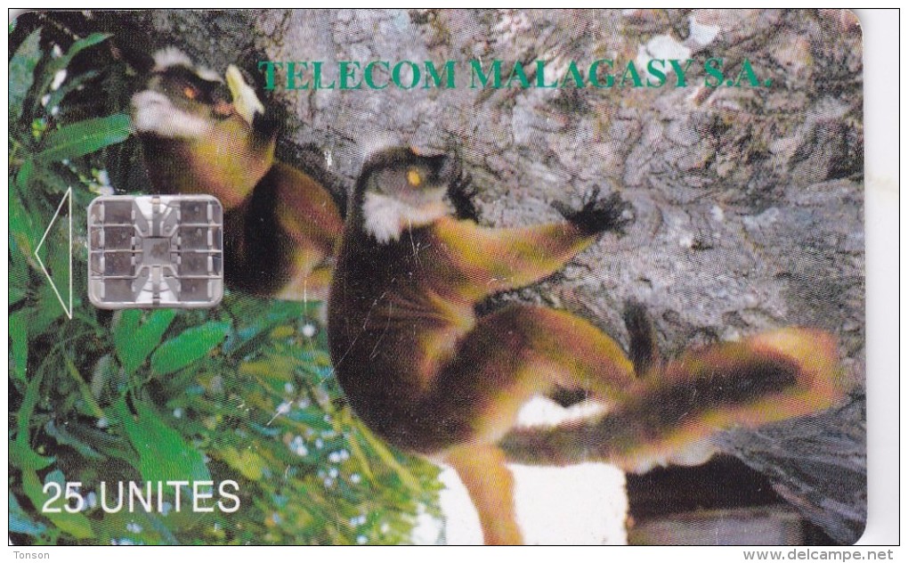 Madagascar,  MDG-12, Lemurs Of Madagascar, 2 Scans - Madagaskar