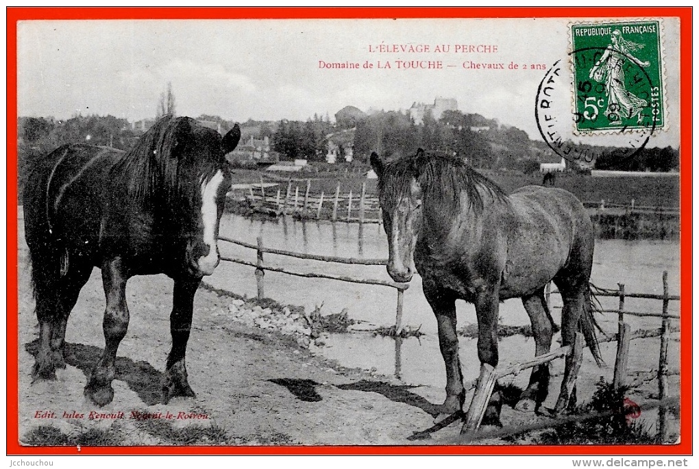 CPA 28 Domaine De LA TOUCHE Le PERCHE Pittoresque Chevaux (Percherons) De 2 Ans * Jules Renoult * Cheval Percheron - Nogent Le Rotrou