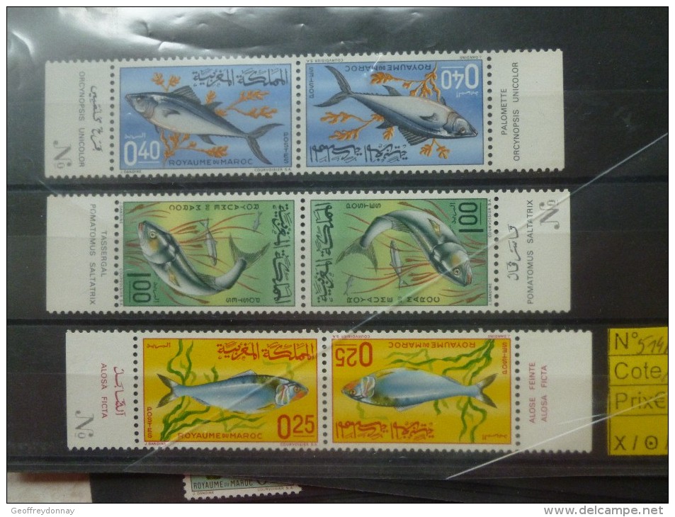 Maroc Tete Beche Poisson 514A/16A Neuf - Morocco (1956-...)