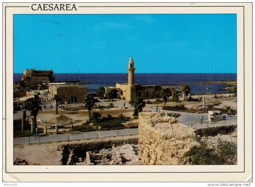 CAESAREA   EXCAVATIONS AT THE ANCIENT  TOWN        MAXI-CARD      (VIAGGIATA) - Palestina