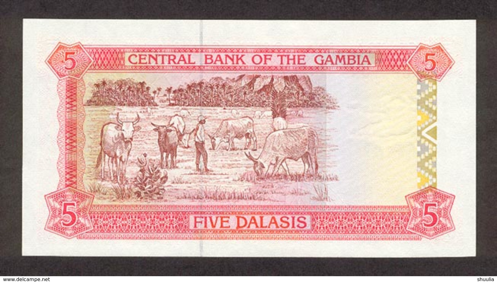 Gambia 5 Dalasis 1991-95 Pick12a UNC - Gambie
